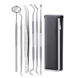 6pc/set Stainless Steel Dental  Tool Set